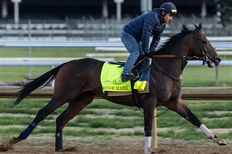 Kentucky Derby picks, trifecta and superfecta bets .